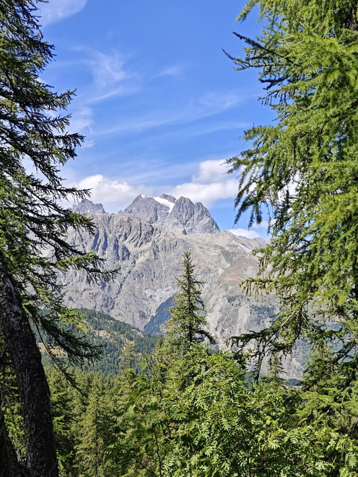 Appartamento "La Batisse Des Pres" Puy-Saint-Vincent Esterno foto