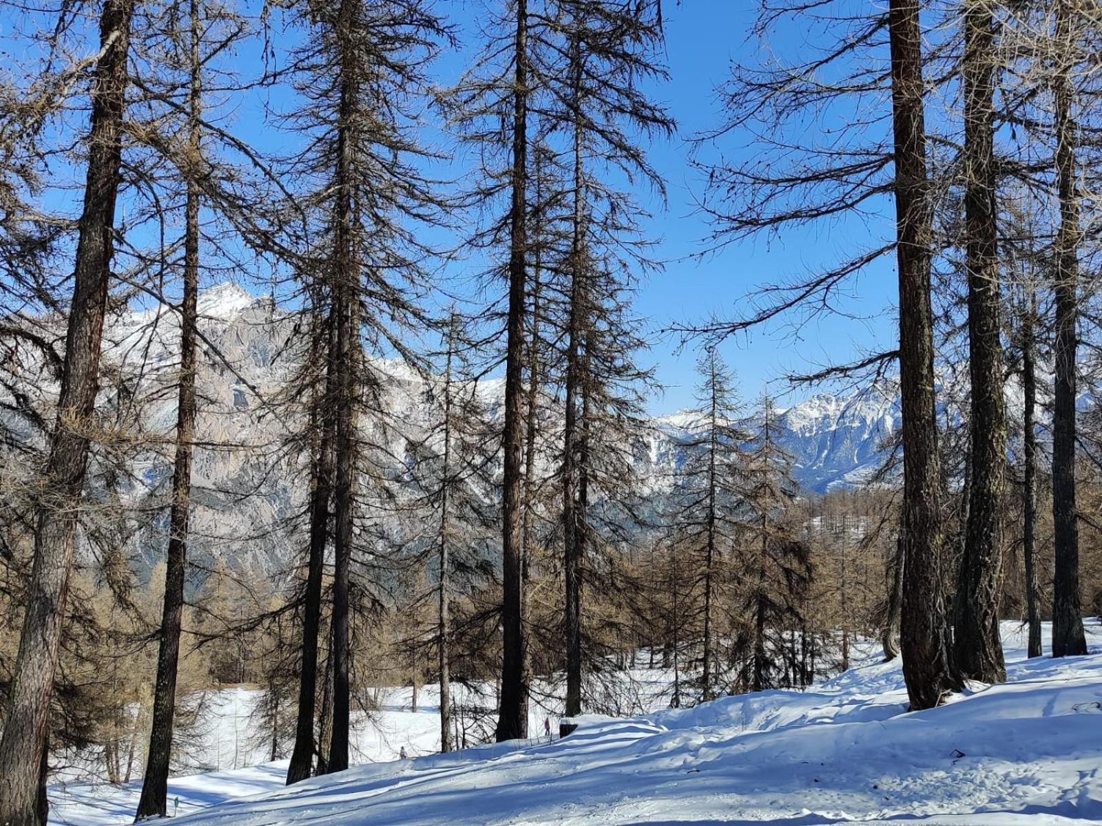 Appartamento "La Batisse Des Pres" Puy-Saint-Vincent Esterno foto
